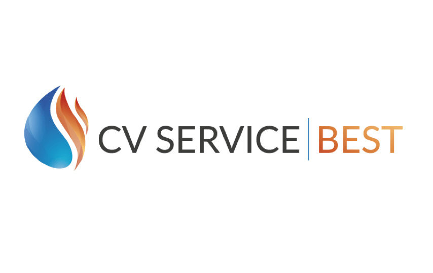 CV Service Best